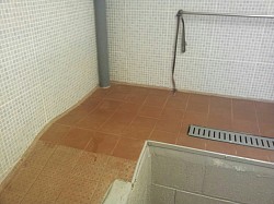 Dog shower and grooming room ramp access quarry tiled rspca animal centre