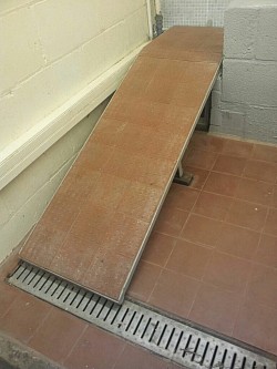 Dog grooming room,made a  removable ramp to assist staff getting dogs onto shower platform, inset drains