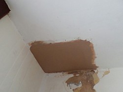 Quick economical patch to water damaged ceiling, landlord property