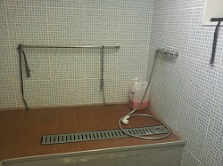 Dog grooming room shower area wall and quarry tiled, stainless rail, hand sprayer 