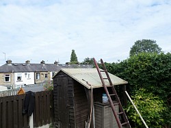 Old shed spruce up ... before