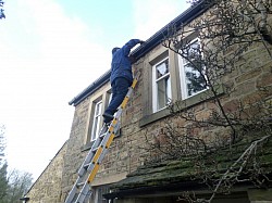 Gutter cleaning